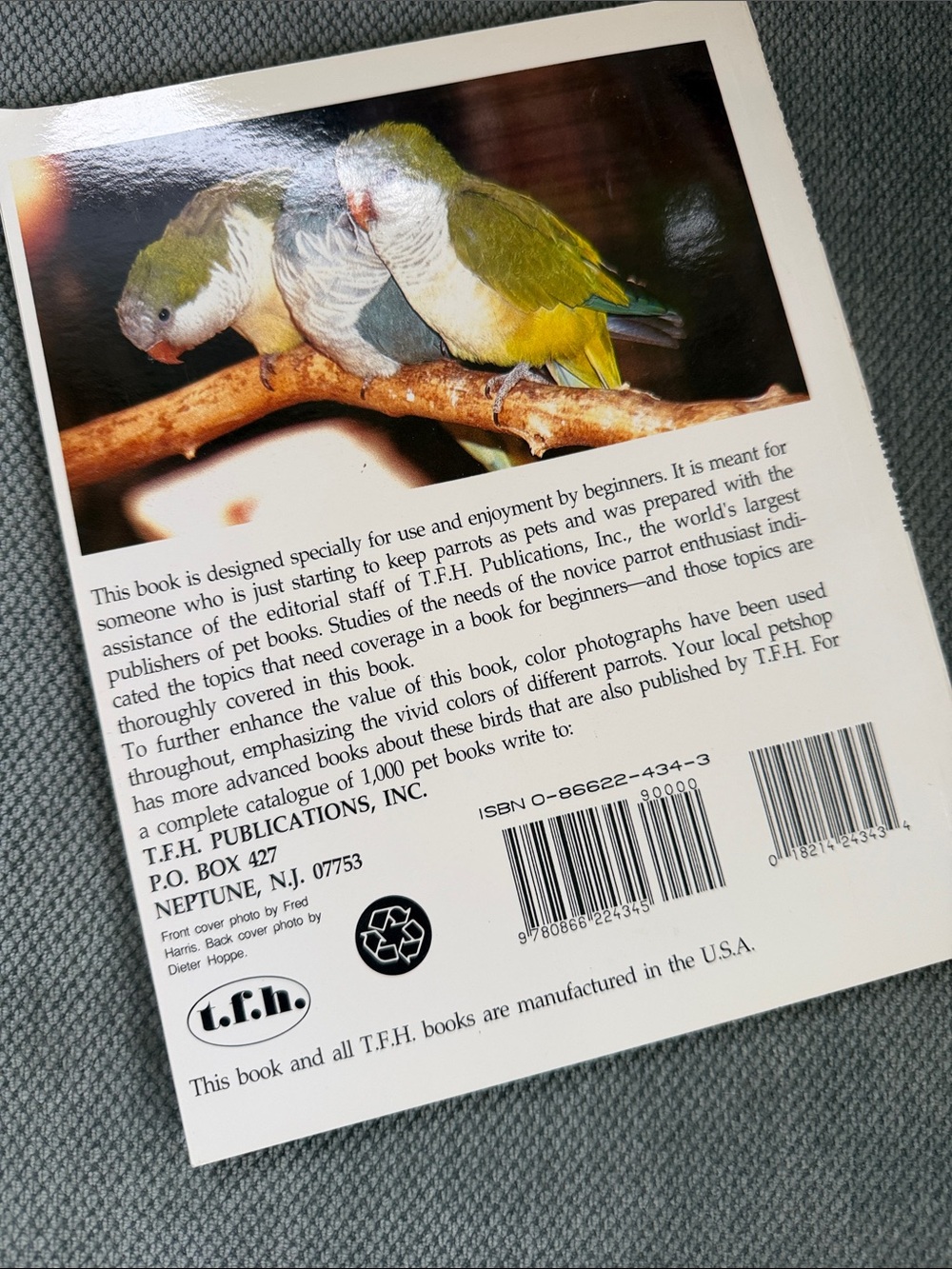 Parrots as a New Pet - Picture 2 of 3